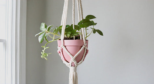 Love-Knot Elegance: DIY Macramé Plant Hanger for Valentine's Day