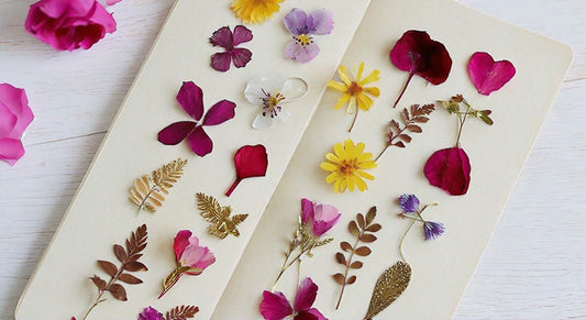 Love in Bloom: DIY Pressed Flower Bookmark for Valentine's Day