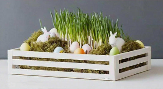 DIY Easter Decorations: Creative Crafts to Brighten Your Home