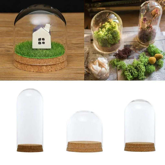 5 Glass terrariums cloche jar glass dome table terrarium