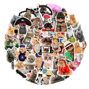 66 Funny Cat Graffiti Stickers In Multiple Sizes - DiyCraftsProject
