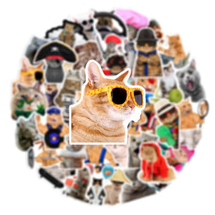 66 Funny Cat Graffiti Stickers In Multiple Sizes - DiyCraftsProject
