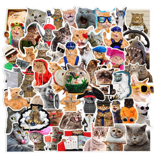 66 Funny Cat Graffiti Stickers In Multiple Sizes - DiyCraftsProject