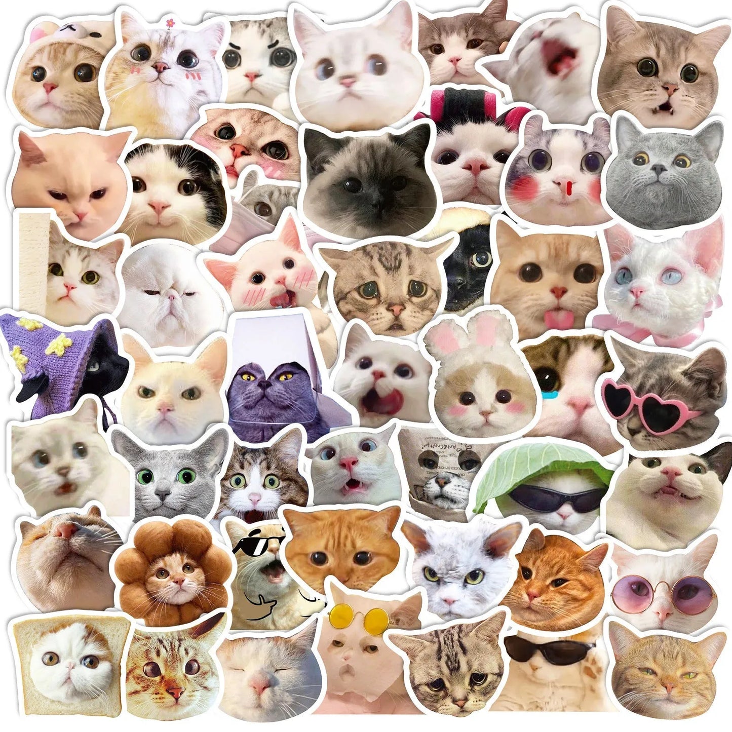 Fashion Statement Cat Graffiti Stickers