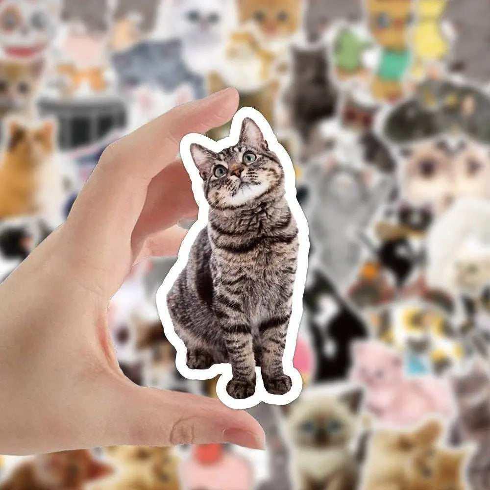 Cat Sticker Pack Cute Cat Stickers Scrapbook Stickers Black Cat Stickers