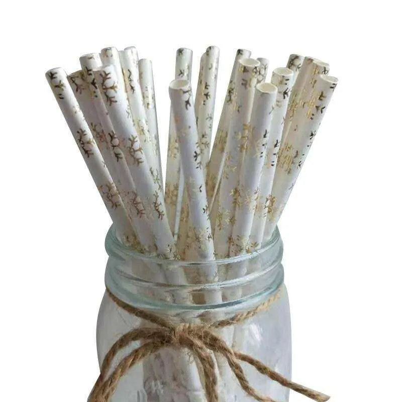 Christmas Party Paper Straws 25pcs