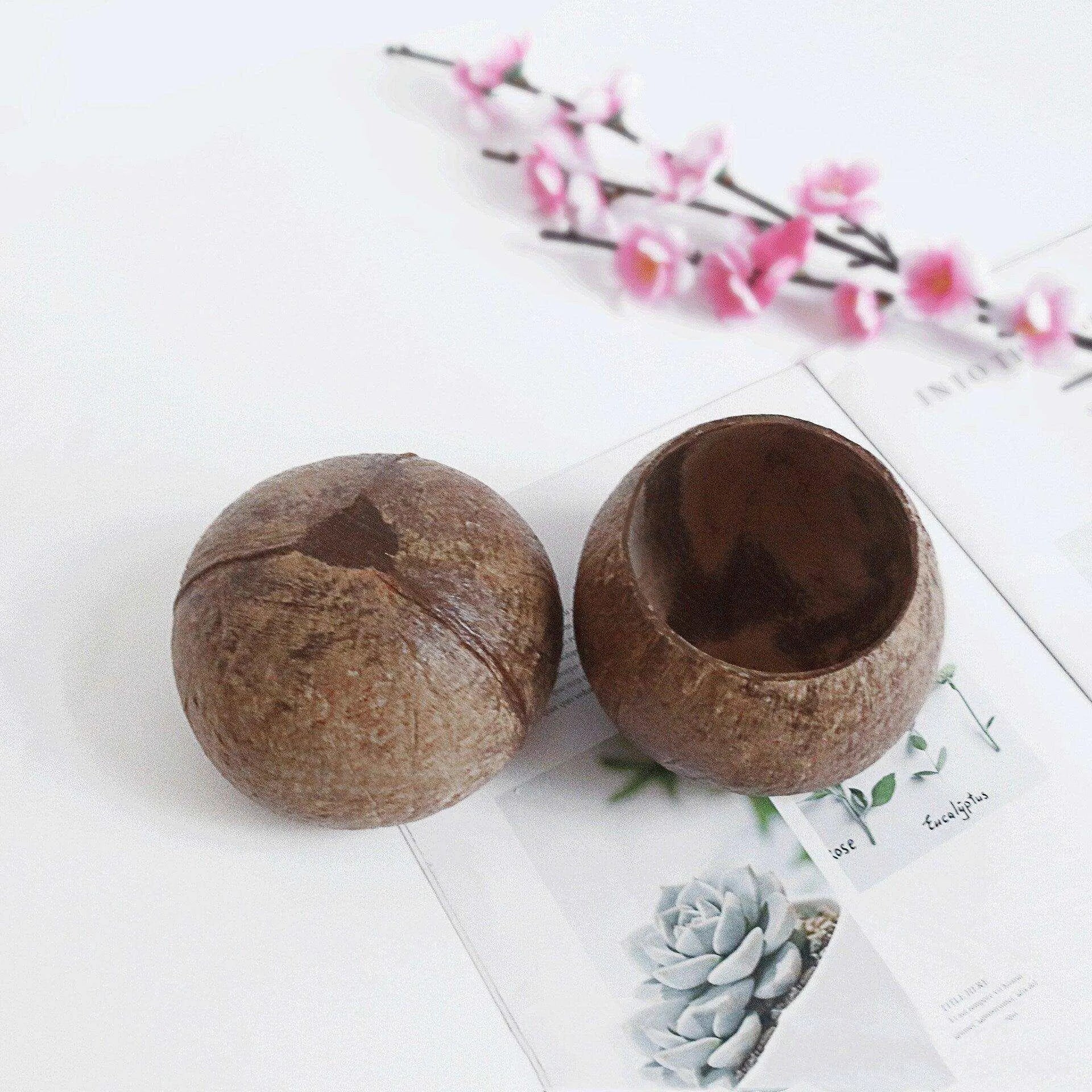 Coconut Husk Candle Holder Food Bowl Trinkets Container