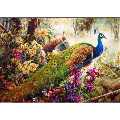 Peacock paint by numbers kit