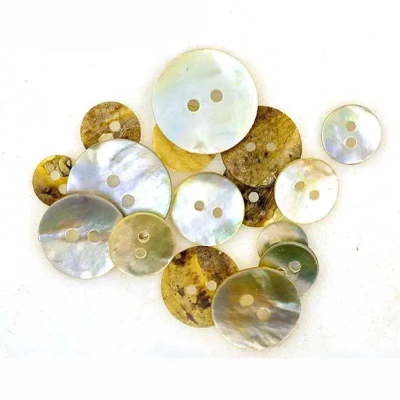 Shell Buttons Sewing Button DIY Clothes Making 2 Hole Buttons Round Button