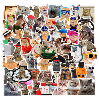 66 Funny Cat Graffiti Stickers In Multiple Sizes