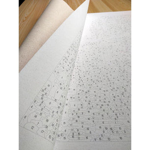 DIY Paint By Number Kit Aeroplane Painting - DiyCraftsProject
