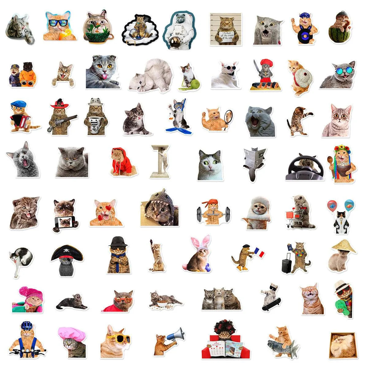 66 Funny Cat Graffiti Stickers In Multiple Sizes