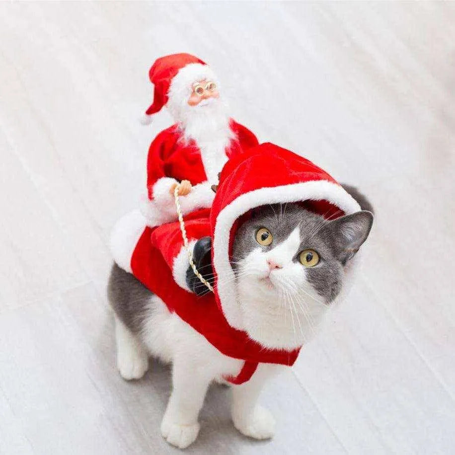 a cat wearing a santa suit and a santa clause hat