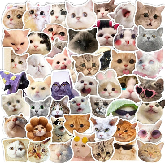 Fashion Statement Cat Graffiti Stickers - DiyCraftsProject