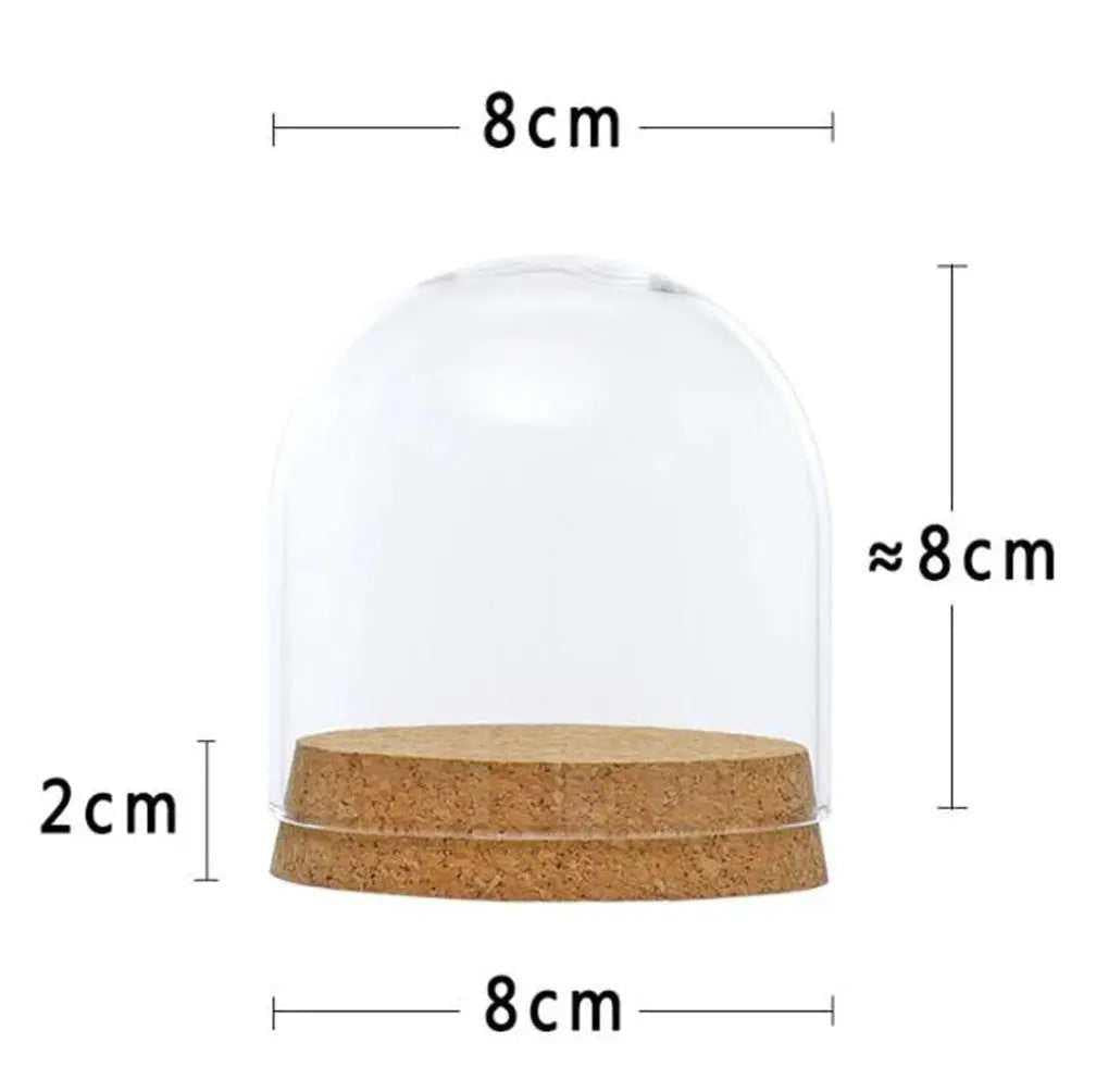 5 Glass terrariums cloche jar glass dome table terrarium