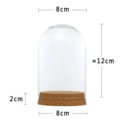 5 Glass terrariums cloche jar glass dome table terrarium