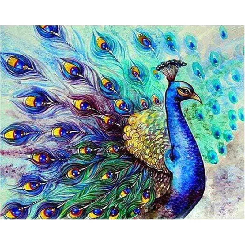 Peacock paint by numbers kit