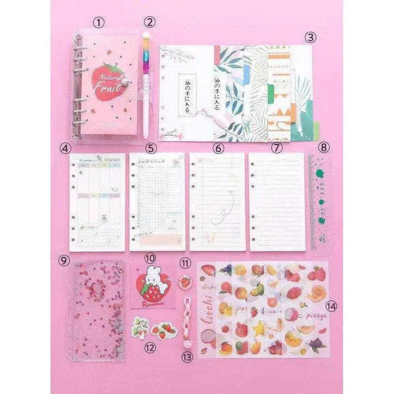 Pink diary journal set for girls cute agenda planner with stickers tapes and clips