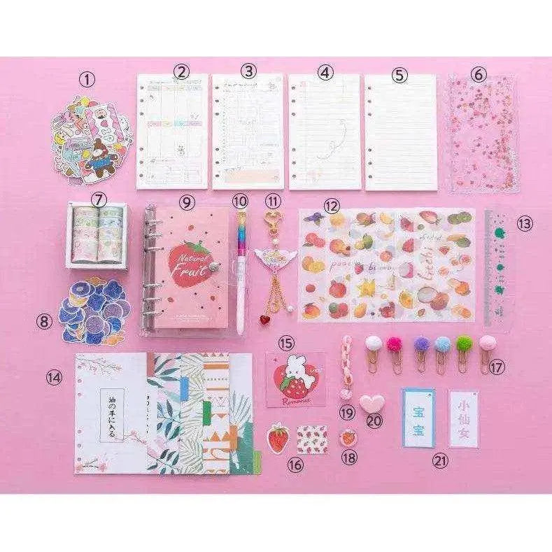 Pink diary journal set for girls cute agenda planner with stickers tapes and clips